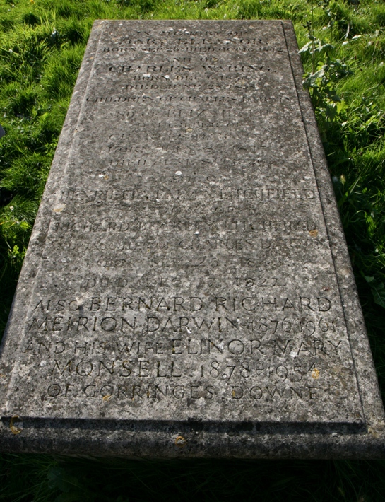 darwin family tomb